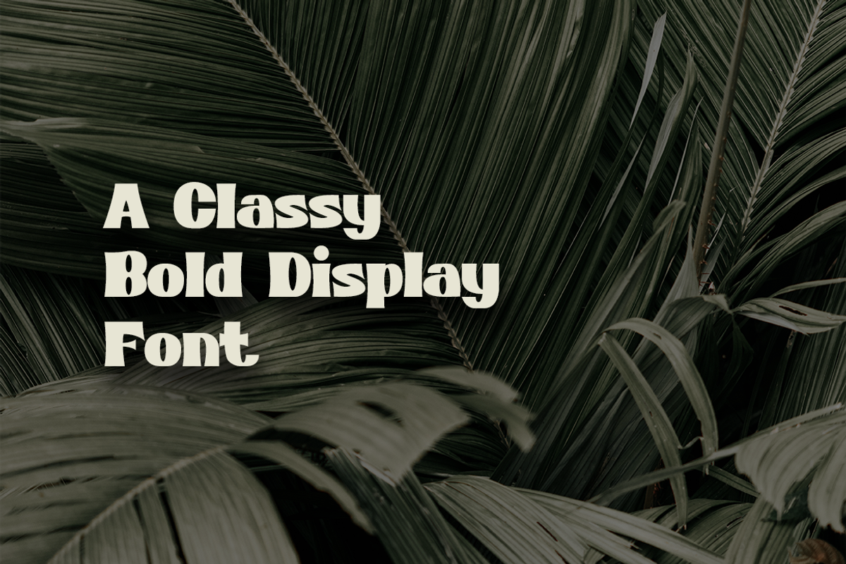 POP CULTURE – Classic Display Font, a Serif Font by Pinisi ART (Photo 10 of 10)