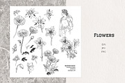 Highlands. Vector illustrations, an Illustration by Nadia Murash (Thumbnail 3 of 6)