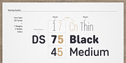 Core Sans DS, a Sans Serif Font by S-Core (Thumbnail 2 of 6)