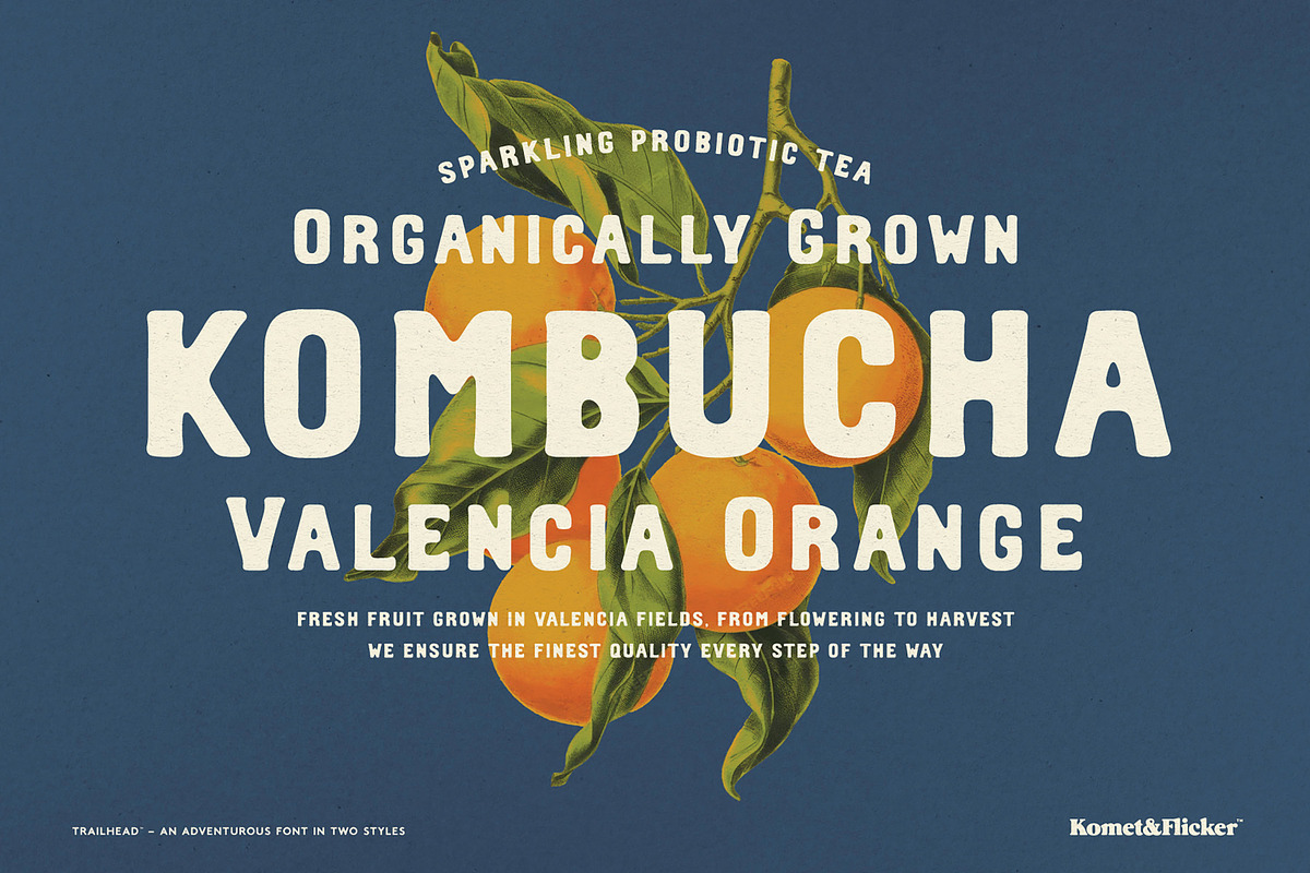 Trailhead – An Adventurous Font, a Serif Font by Komet & Flicker (Photo 9 of 15)