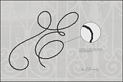 The Poetry Elegant Swash Script Font, a Script Font by AnMark (Thumbnail 11 of 13)