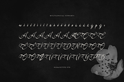 Kadegon | Beauty Calligraphy Script, a Script Font by gracetype_studio (Thumbnail 11 of 12)
