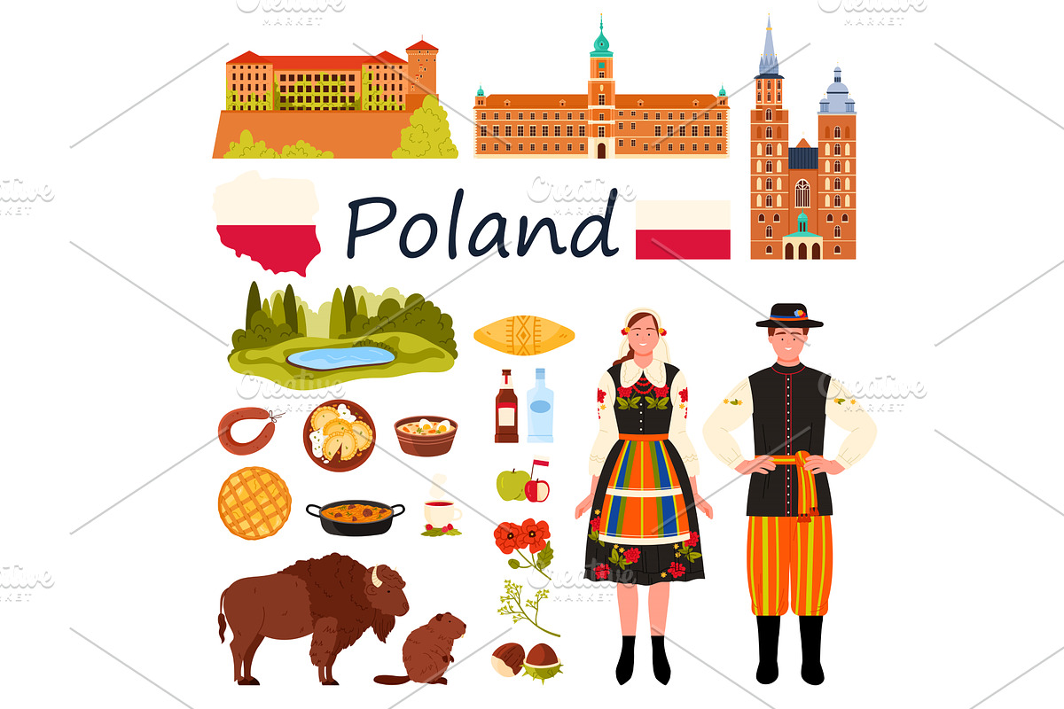 Travel to Poland infographic set, an Animal Illustration by Flashvector