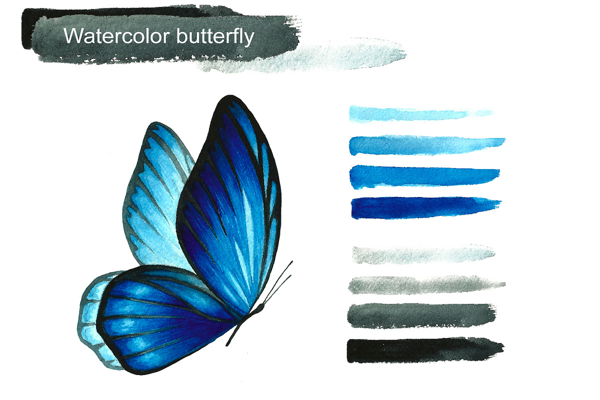 Blue watercolor butterflies, an Illustration by Art Watercolor (Photo 4 of 4)