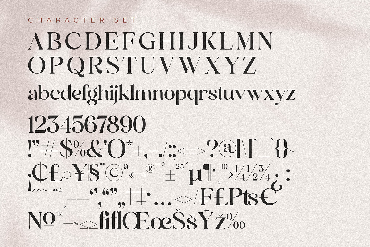 Andora Modern Font Duo, a Serif Font by Storytype Studio (Photo 13 of 15)