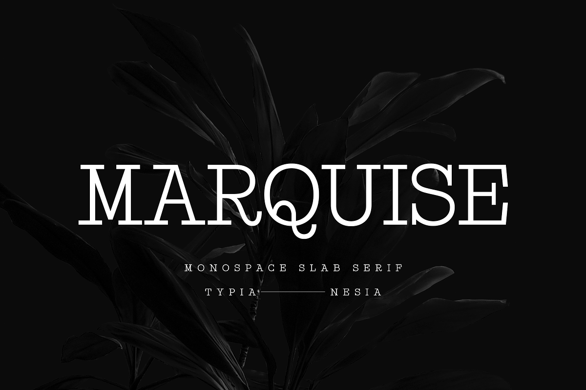 Marquise, a Slab Serif Font by Typia Nesia (Photo 1 of 10)
