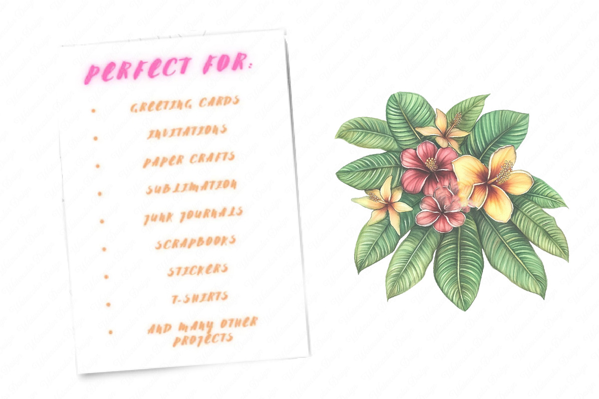 Bright Summer Flower Clipart, an Illustration by Watercolor design (Photo 8 of 11)