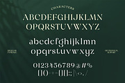 Margline – Stylish Serif Typeface, a Serif Font by Brand Earth (Thumbnail 2 of 8)