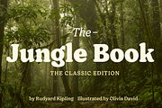 Giorgia - Soft Serif Family, a Serif Font by Fenotype (Thumbnail 11 of 13)