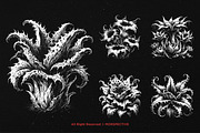 10 Bundle Dark Art Plant Scary, an Illustration by Morspective (Thumbnail 3 of 7)