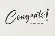 Sage Falcone Brush Font, a Script Font by Basnistudio (Thumbnail 6 of 6)