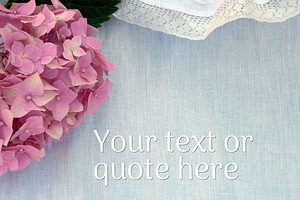 Hydrangea styled stock photography