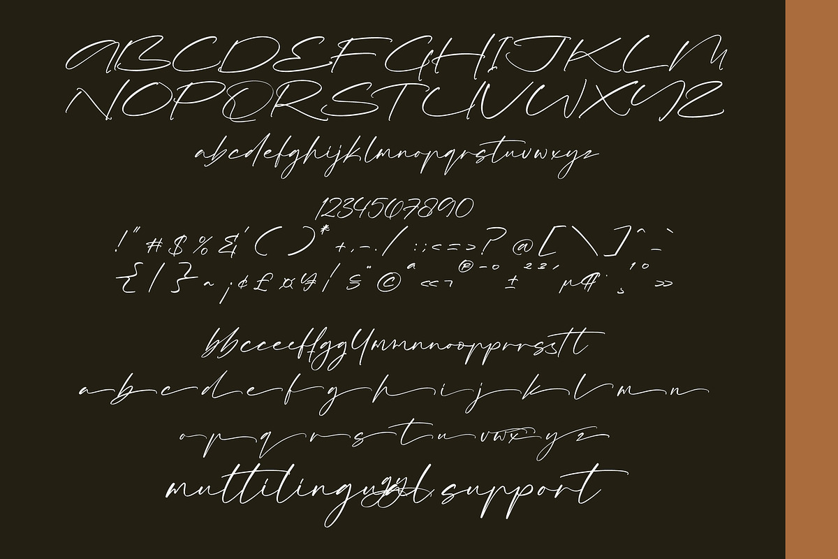 Platinum Hours, a Script Font by operatype.co (Photo 8 of 8)