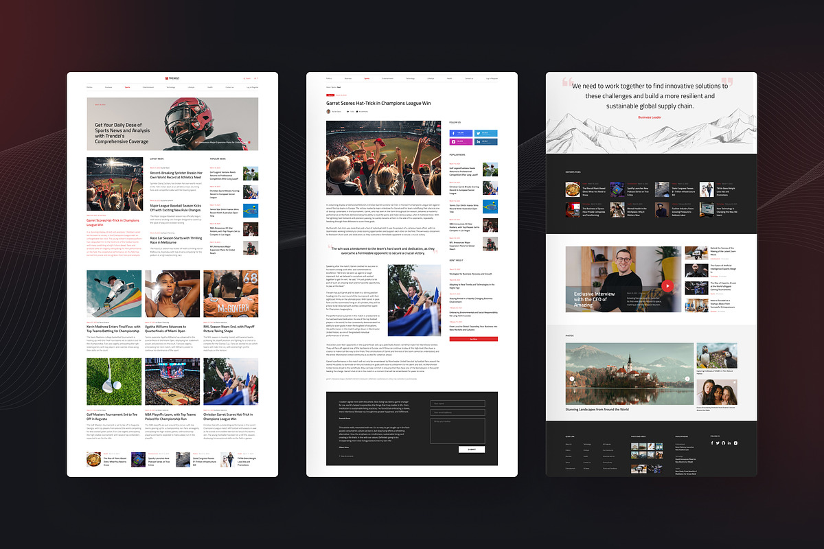 Clean Newspaper & Magazine Website, an UI Kit Template by peterdraw (Photo 10 of 10)