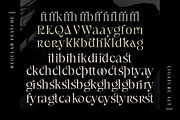 Radilen Aveline, a Serif Font by Dora Typefoundry (Thumbnail 16 of 18)