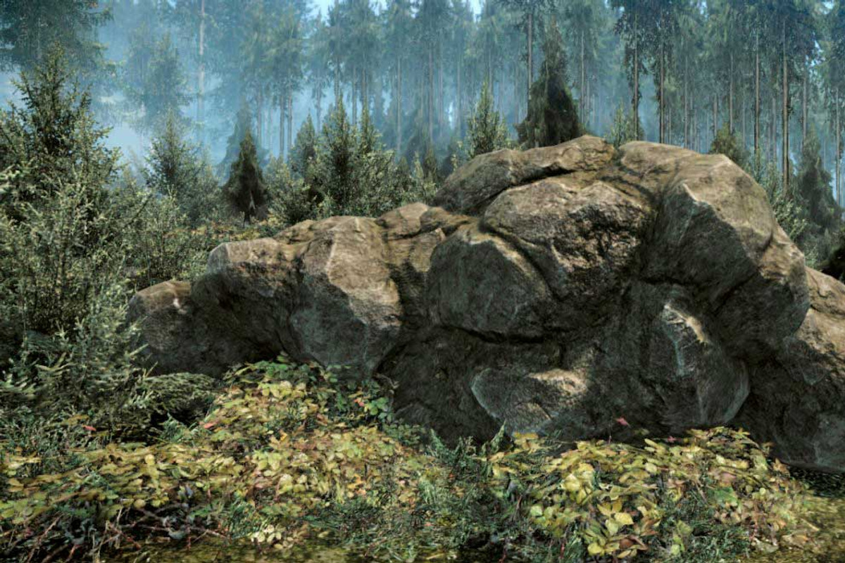 [Next-Gen] Forest Rock, an Environmental 3D Model by Game-Ready Studio (Photo 1 of 5)