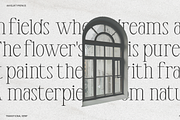 Anyelir Display - Condensed Serif, a Serif Font by Magnolitype (Thumbnail 18 of 21)