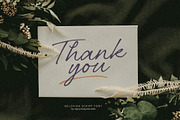 Belovina - Handwritten Script Font, a Handwritten Font by agnyhasyastudio (Thumbnail 14 of 14)