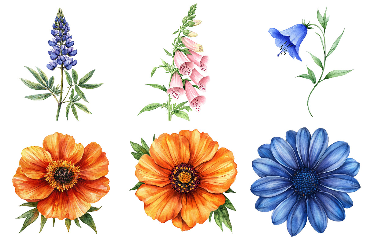 Watercolor Wildflower Clipart Bundle, a Seasonal Illustration by CitraGraphics (Photo 2 of 10)