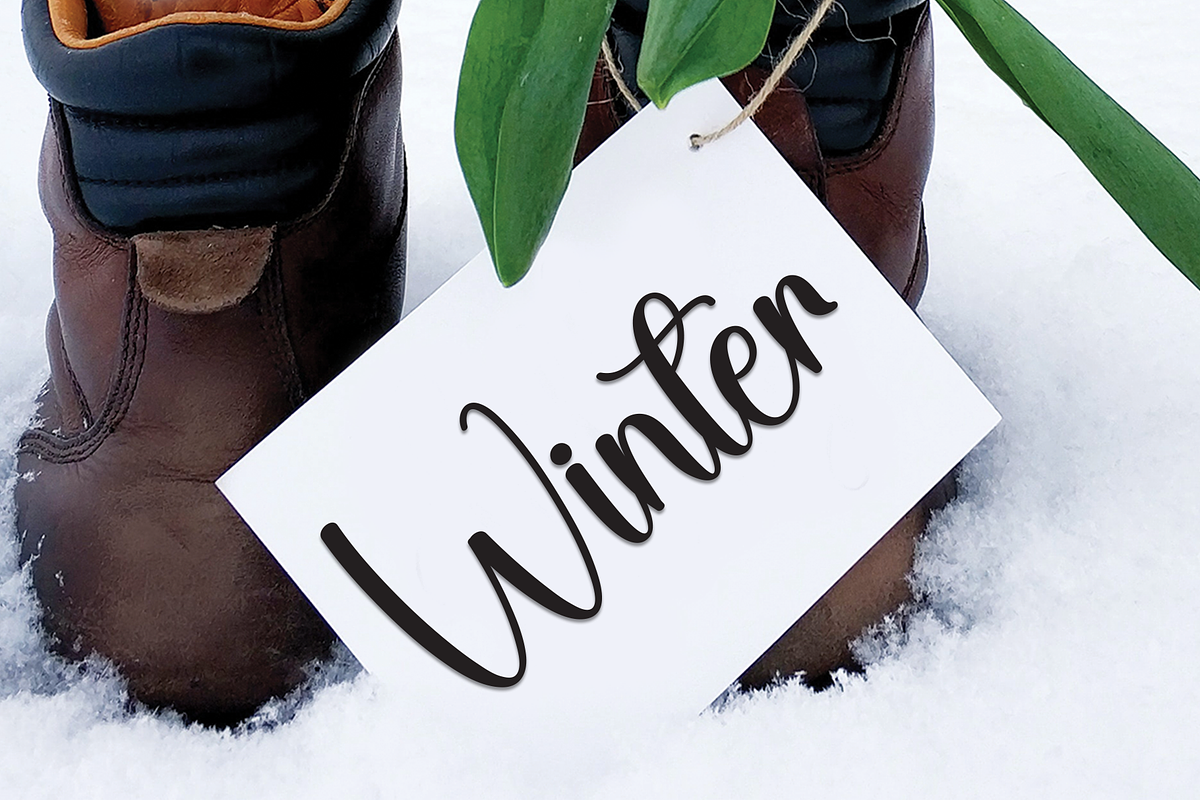 Bookstore | Script Font, a Handwritten Font by Scratchones (Photo 4 of 8)