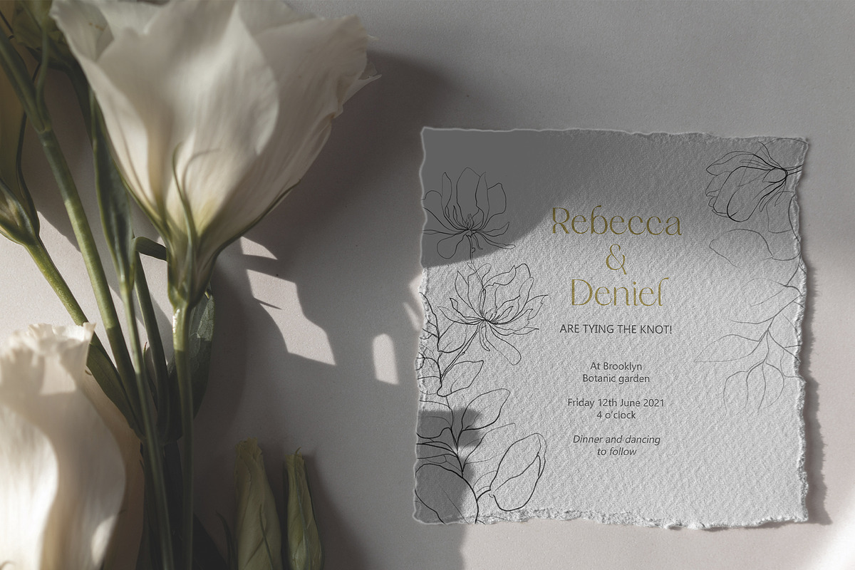 Botanical Line Art Collection, an Object Illustration by Colden Blue (Photo 2 of 10)