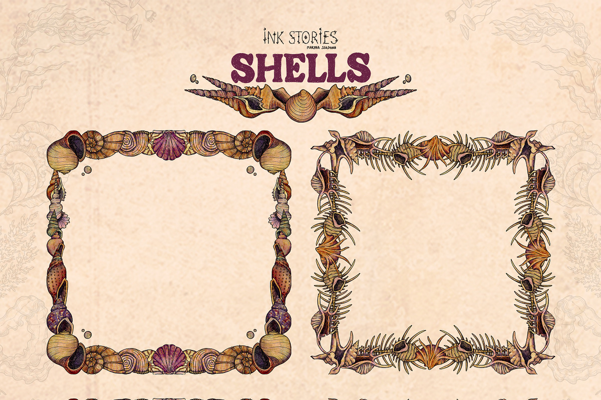 Shells, an Animal Illustration by Ink Stories (Photo 11 of 21)