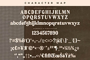Bristle Radiant Modern Retro Stylish, a Serif Font by Letterena Studios (Thumbnail 13 of 15)