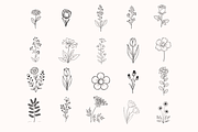 50 Hand Drawn SVG Floral Leaves, a Decorative Illustration by BoudaTemplate (Thumbnail 3 of 3)
