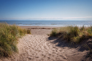 Sandy path winding through marram grass dunes leading to a calm, a Photo by Studio ANNA