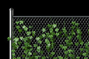 Hop leaves on the fence 3d model, an Architecture 3D Model by rnax (Thumbnail 2 of 4)
