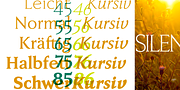Faber Serif Pro, a Serif Font by ingoFonts (Thumbnail 3 of 9)