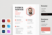 Werner Resume CV & Business Card, a Resume Template by Jinro (Thumbnail 1 of 5)