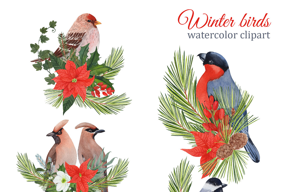 Watercolor winter garden, an Illustration by s.yanyeva (Photo 2 of 12)