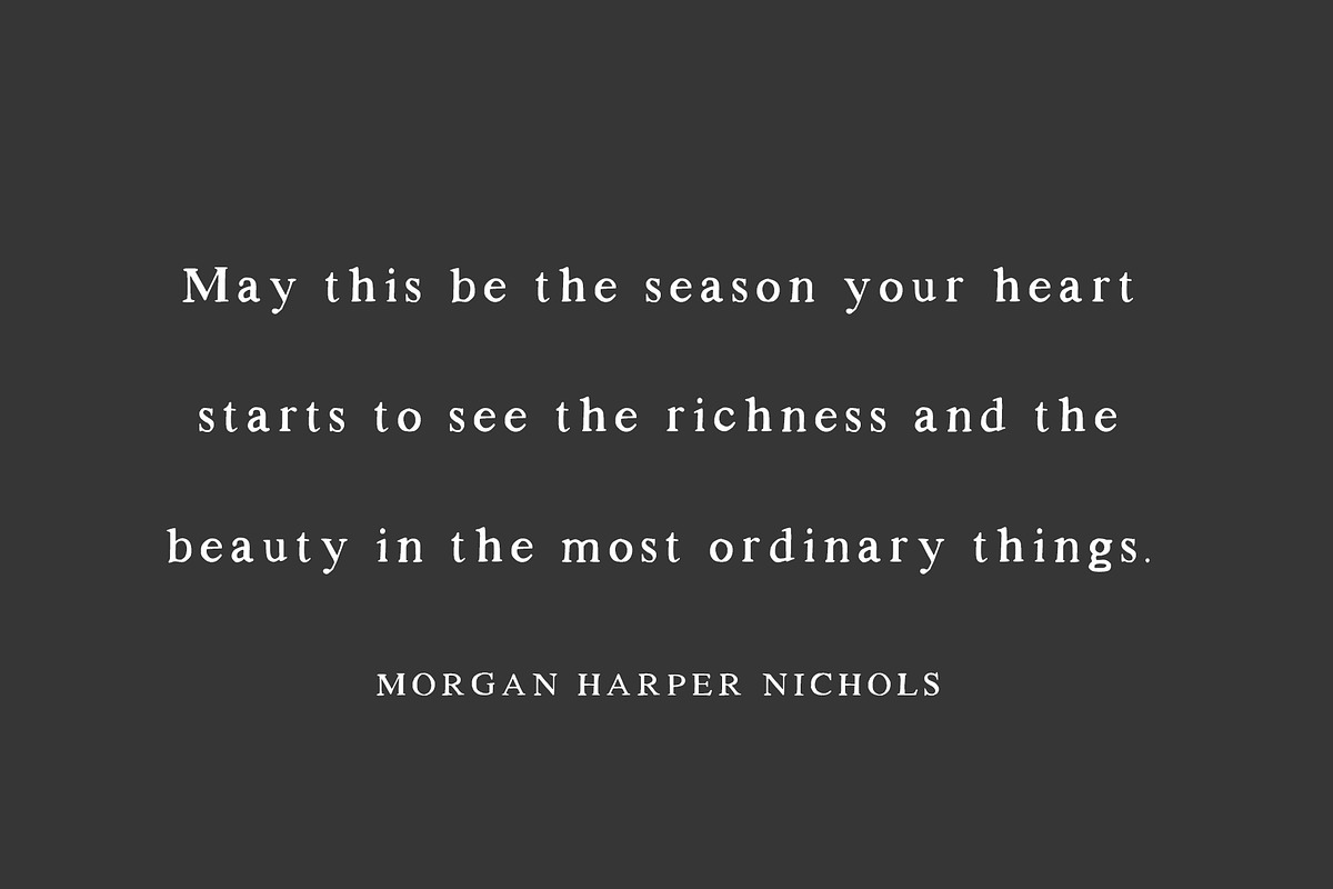 Walker: a Handlettered Serif, a Serif Font by Margot + Co (Photo 8 of 11)