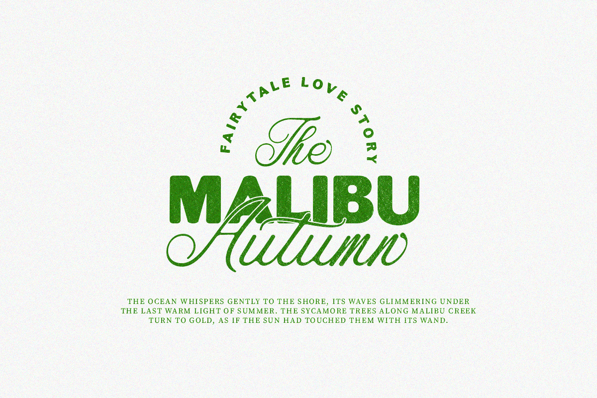 Festival Britony Font Duo, a Script Font by Letter Fresh (Photo 6 of 12)