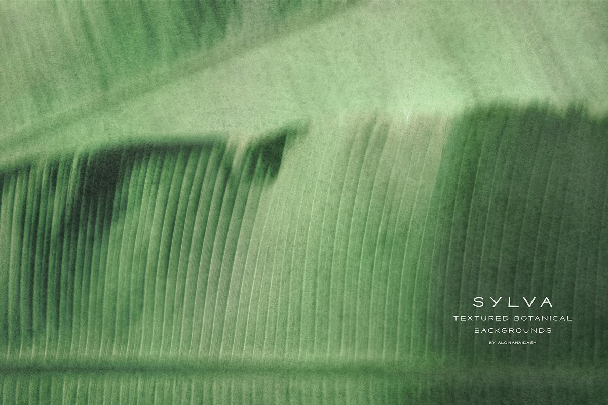 Sylva Textured Botanical Backgrounds, a Background Graphic by alonahaidash (Photo 15 of 15)