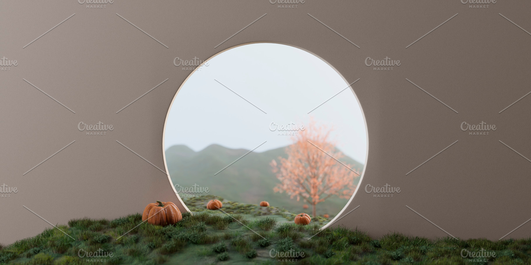 Pumpkin field behind wall autumn, a Nature Photo by hitdelight