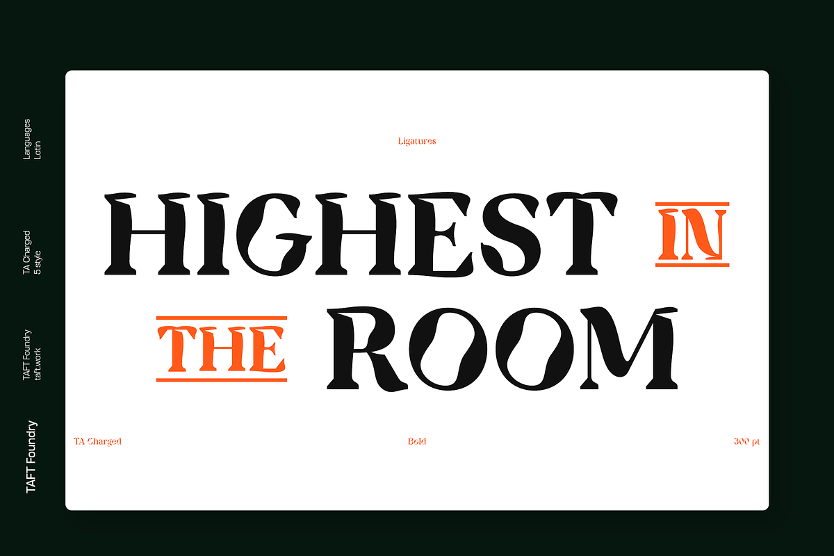 TA Charged, a Serif Font by TAFT Foundry (Photo 3 of 19)