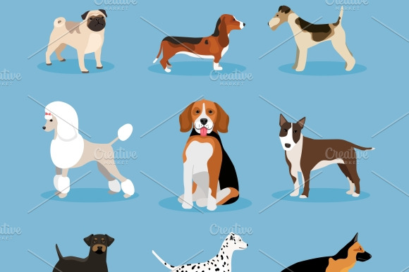 Dogs Set