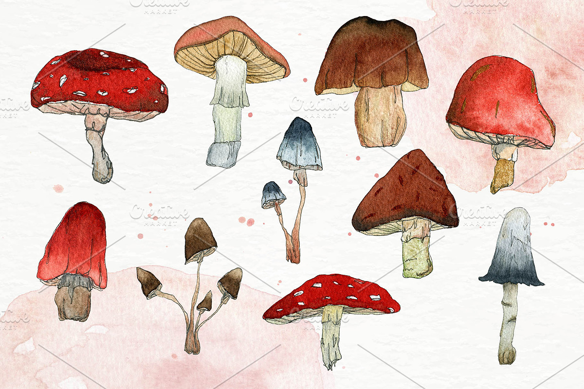 Autumn watercolor set Mushroom Magic, a Texture Illustration by paperlions (Photo 2 of 6)