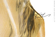 Moonglow - Acrylic Expresions, an Object Graphic by Jeanina Vlad (Thumbnail 2 of 21)