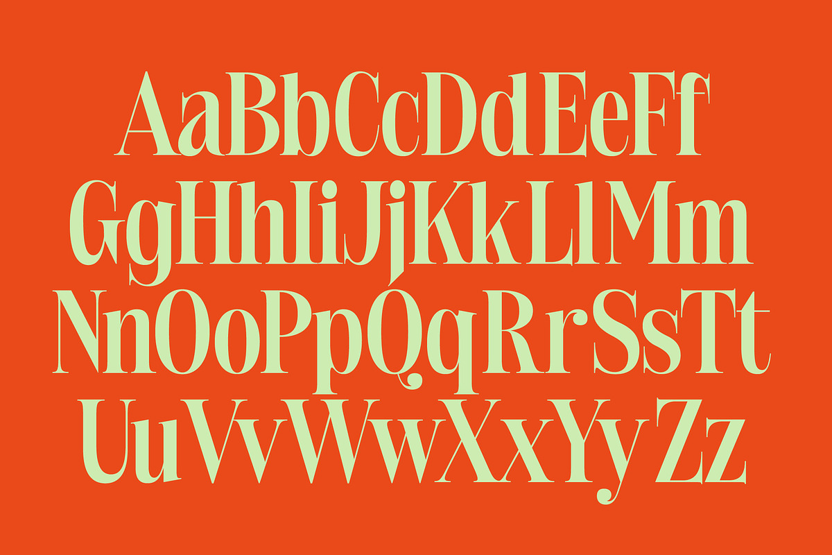 Delivery Feedback Modern Serif, a Serif Font by timelesstype.co (Photo 13 of 20)