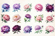 Pink & Purple Peony Flowers Clipart, an Illustration by Rose Art (Thumbnail 2 of 5)