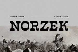 Norzek - Reverse Slab Serif