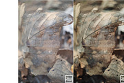 Kamin Fall Season, an Action Add-On by Kamin Lightroom Preset (Thumbnail 12 of 17)