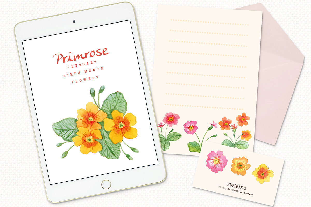 Birth Month Flowers - Primrose, a Decorative Illustration by swiejko (Photo 5 of 12)