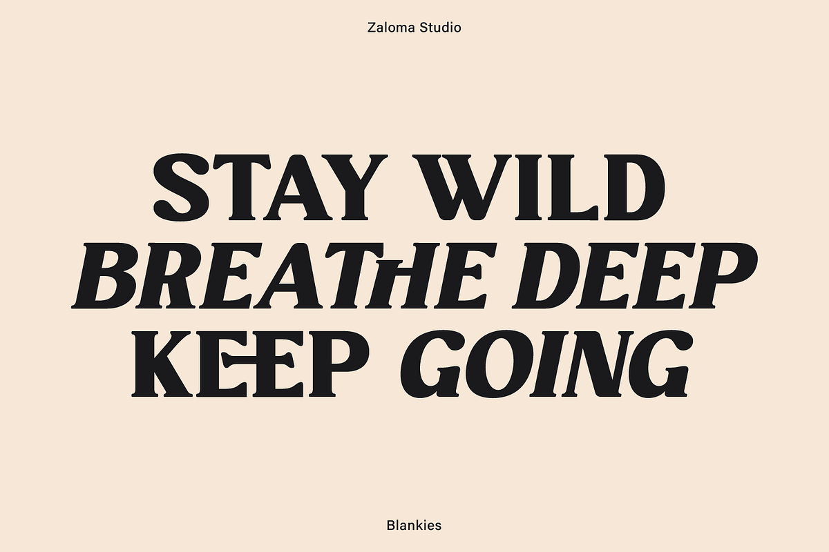 Blankies, a Serif Font by Zaloma Studio (Photo 2 of 15)
