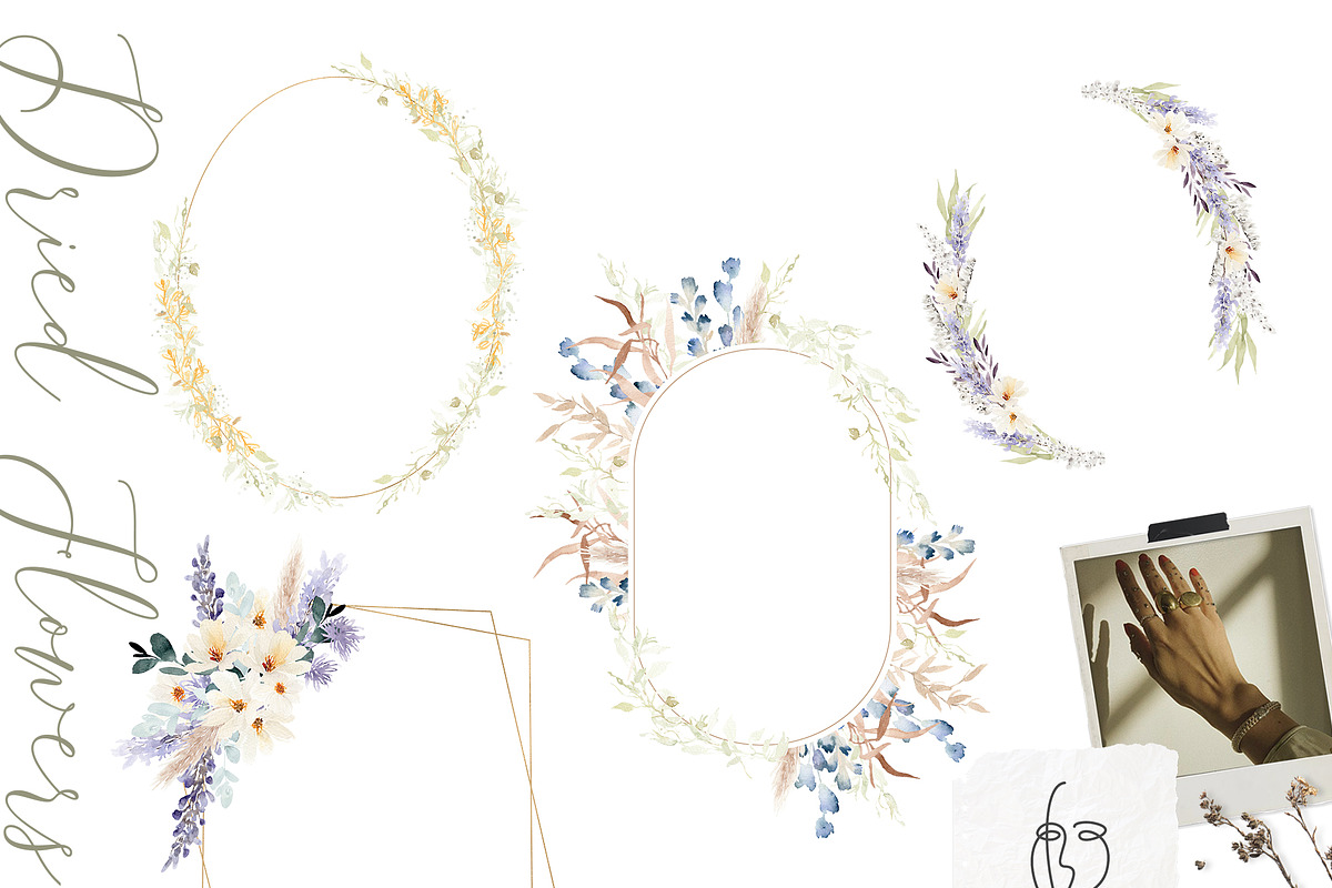 Watercolor flower - Soft Dried, an Illustration by Beigetime (Photo 3 of 10)