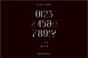 Hecate Display Font, a Serif Font by BY AVA — studio (Thumbnail 5 of 8)