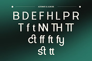 Alrevo - Modern Sans Serif Font, a Sans Serif Font by Flawless And Co (Thumbnail 10 of 10)